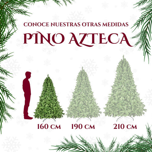Pino Azteca Frondoso