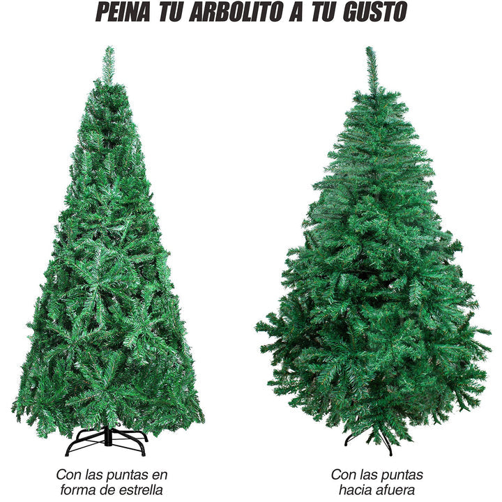 Pino Pachón 1.90 MTS