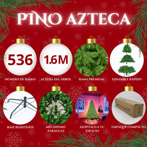 Pino Azteca Frondoso